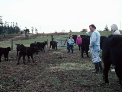 GRANJERO (3)  CAMPESINOS